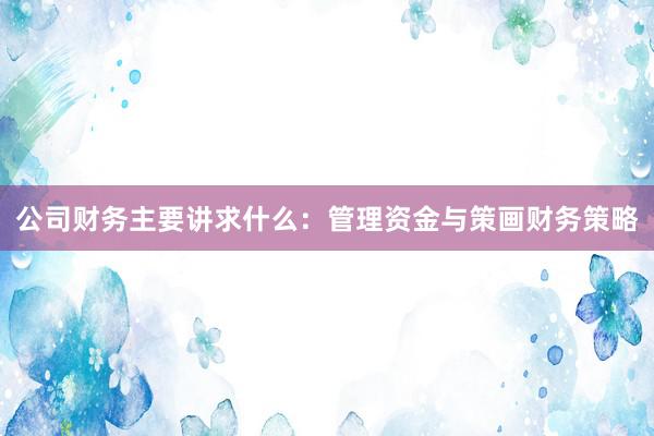 公司财务主要讲求什么：管理资金与策画财务策略